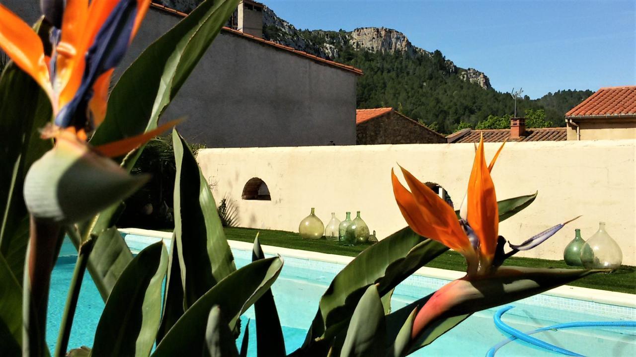 L'Ile Aux Mimosas Bed & Breakfast Tautavel Luaran gambar