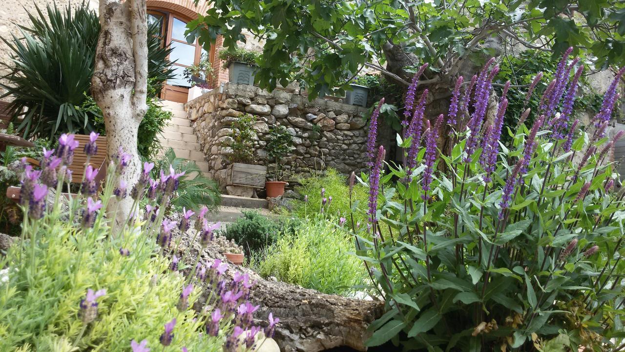 L'Ile Aux Mimosas Bed & Breakfast Tautavel Bilik gambar