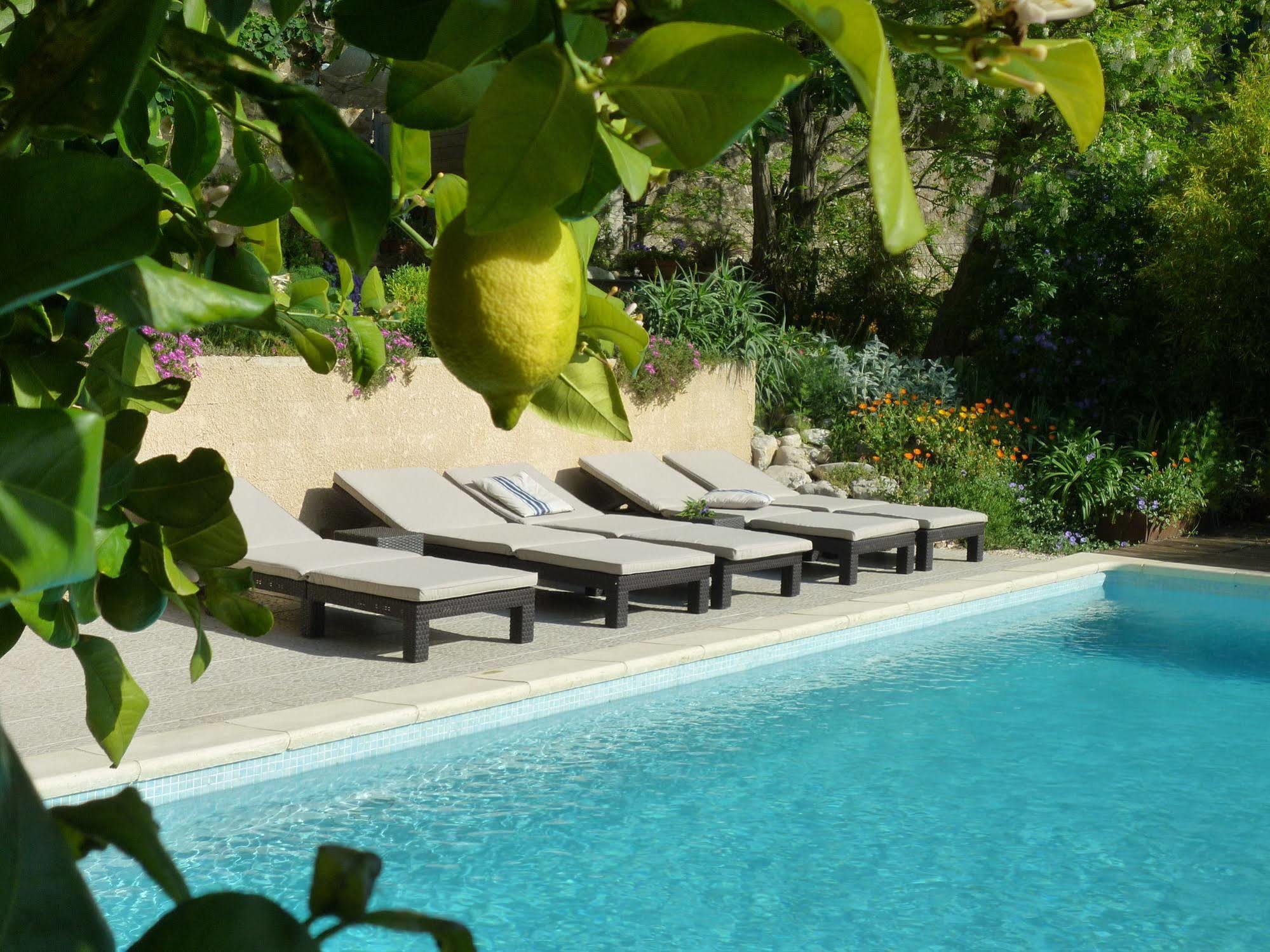 L'Ile Aux Mimosas Bed & Breakfast Tautavel Luaran gambar