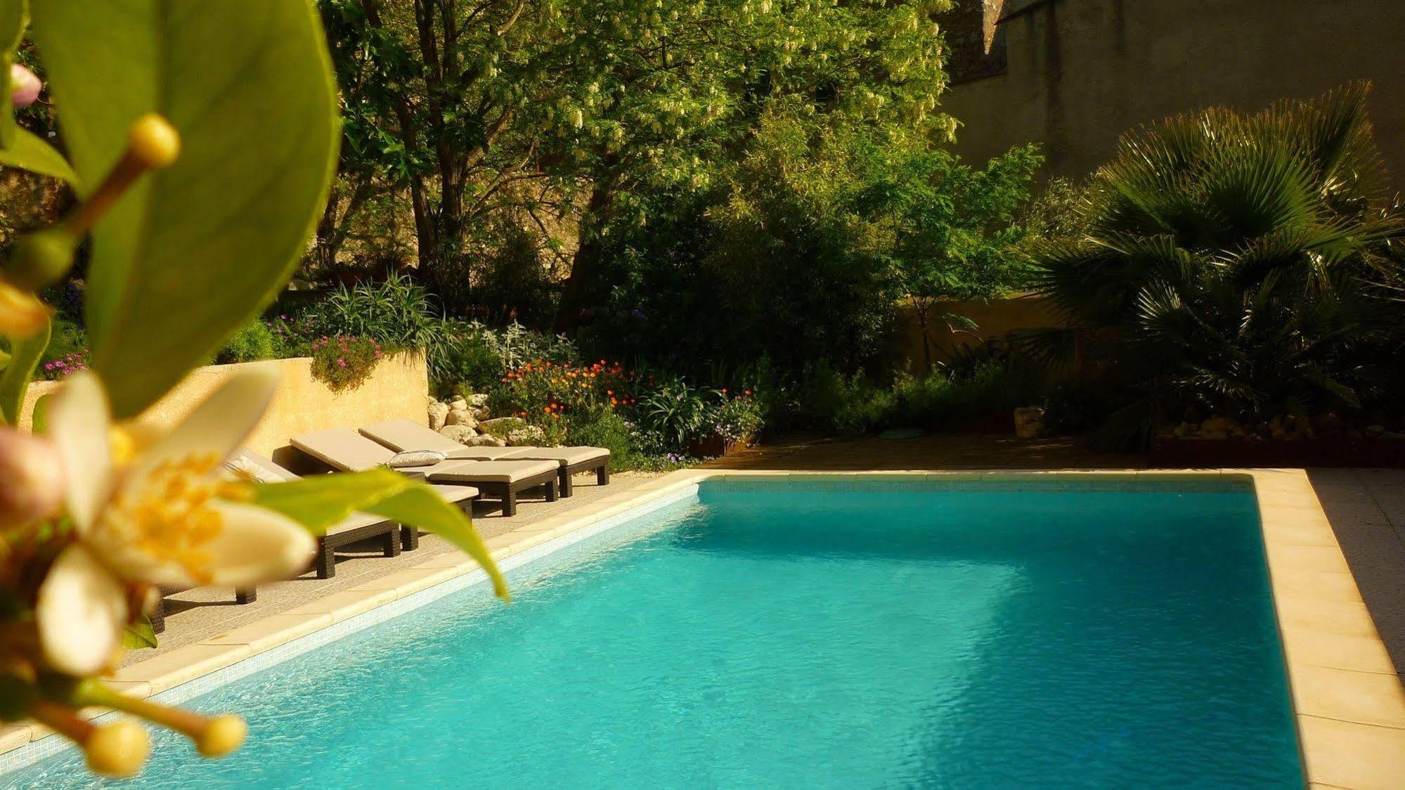 L'Ile Aux Mimosas Bed & Breakfast Tautavel Luaran gambar